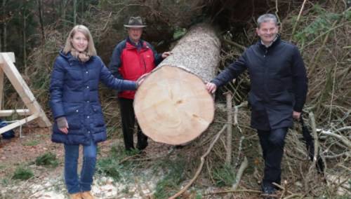 Beč: Božićno drvo smreka visoka 33 metra