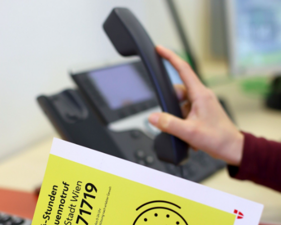Beč nagrađen: Inovativan projekt pomoći ženama koje trpe digitalno nasilje