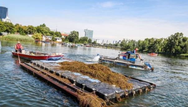 Beč: Podvodne biljke iz Dunava postaju ambalaža