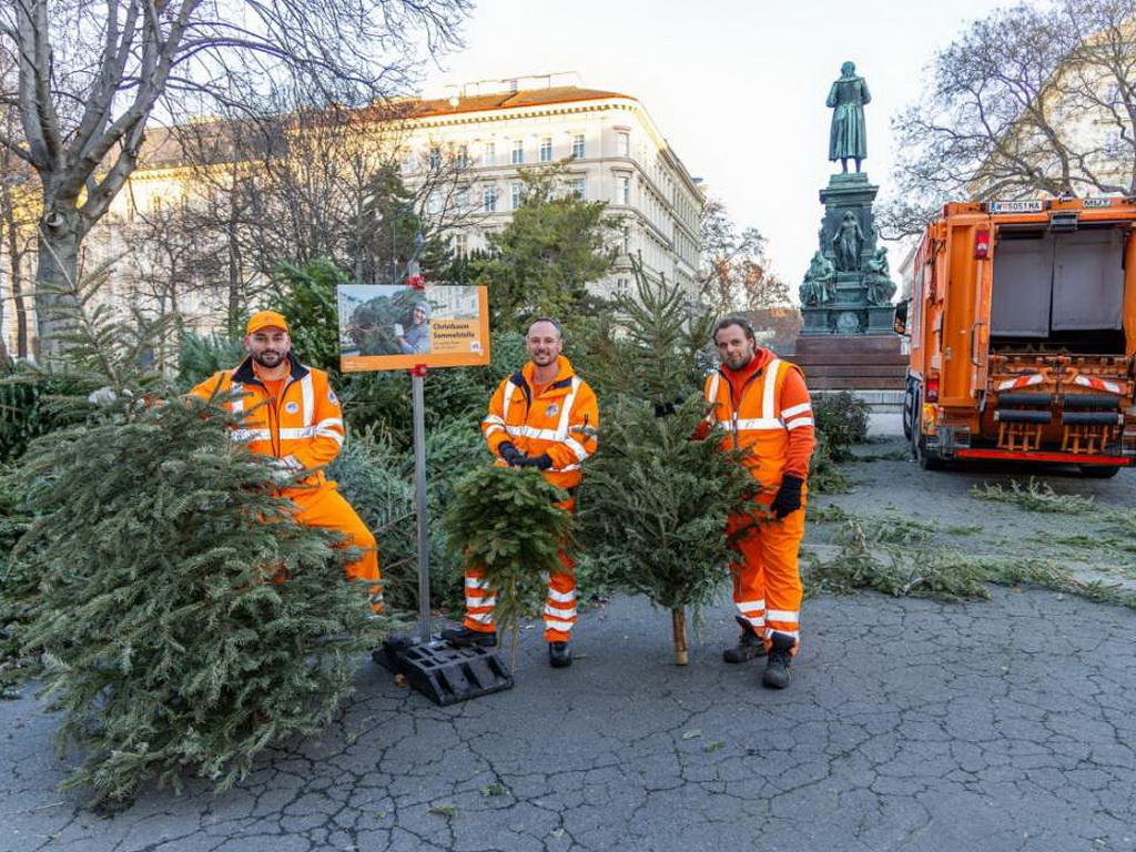 Beč: Pravilno odložene jelke koriste se za proizvodnju električne energije i grijanje domaćinstava