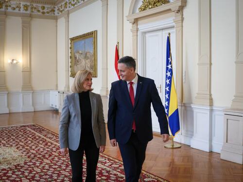 Bećirović - Meinl-Reisinger: Separatisti će biti sankcionirani