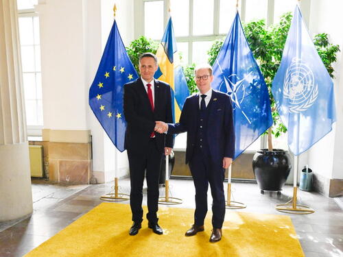 Bećirović i Billström: Ubrzati proces ulaska BIH u NATO