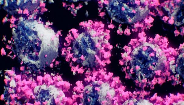 Bečki naučnici omogućili novi 3D prikaz koronavirusa