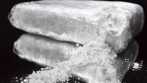 Belgija: Zaplijenjeno više kokaina nego što se trenutno može uništiti