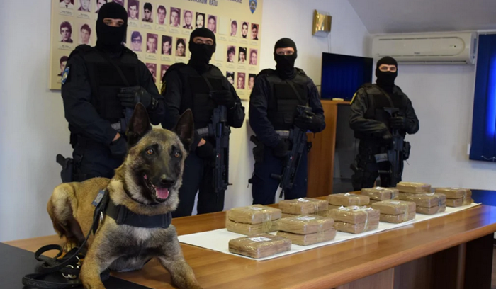 Belgijski ovčar raskrinkao ‘posao desetljeća‘ Haša iz Metkovića