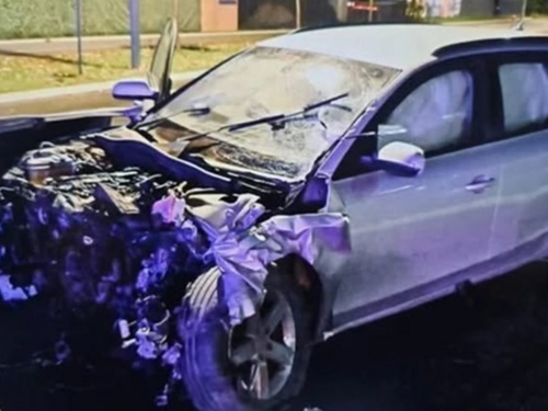 Bh. državljanin koji je usmrtio tročlanu porodicu bio pijan i drogiran