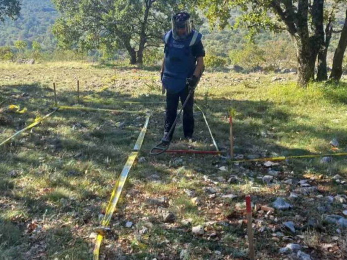 BiH i 30 godina od završetka ratnih dejstava zemlja s izraženim problemom minske opasnosti