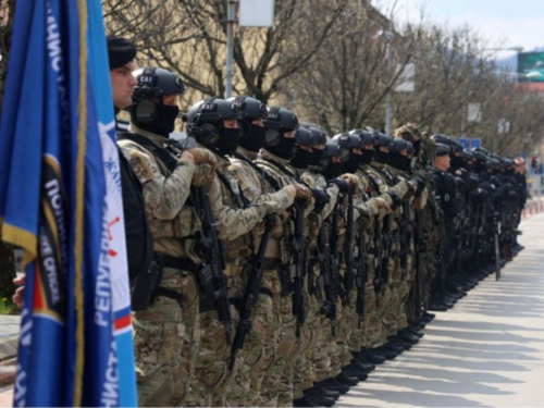 BiH ima više policije od EU, a RS želi 'pomoćne' snage