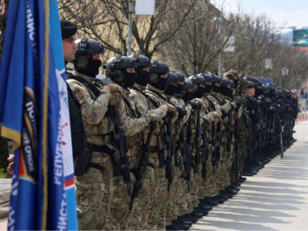 BiH ima više policije od EU, a RS želi 'pomoćne' snage