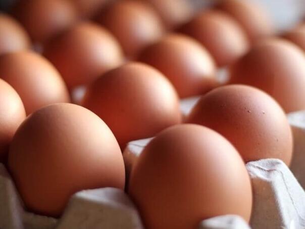 BiH još ne može izvoziti konzumna jaja u EU