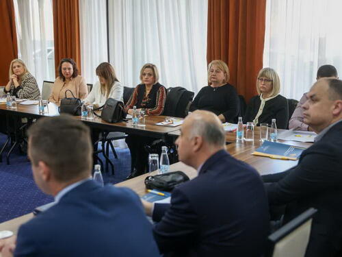 BiH među rijetkim državama u Evropi koje prepoznaju femicid u zakonu