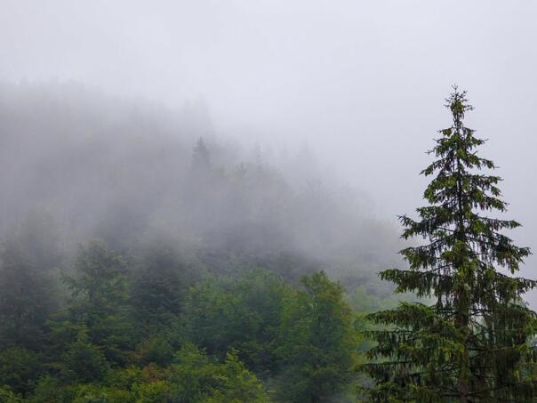 BiH Meteo: Ovog datuma stiže promjena vremena i kraj vrućina