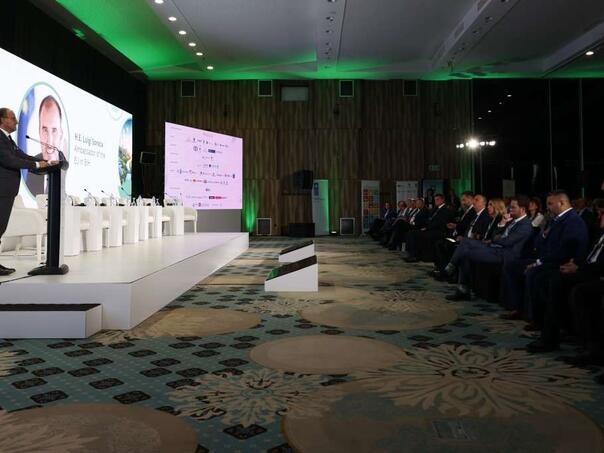 BiH mora investirati u proizvodnju i distribuciju električne energije da je ne bi uvozila