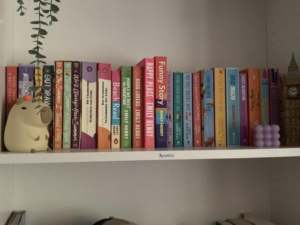 BiH na samom dnu Evrope po kupovini knjiga putem interneta