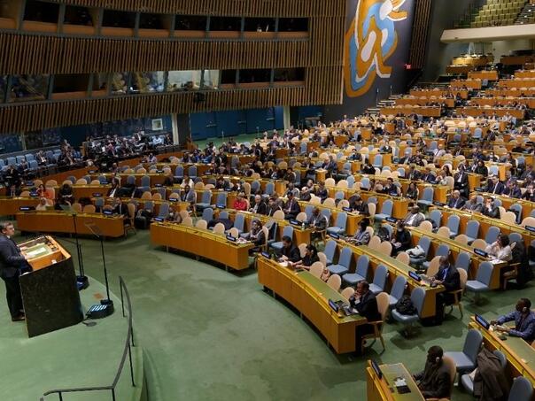 BiH podržala izjavu o osudi agresije na Ukrajinu, samo Srbija uz Rusiju