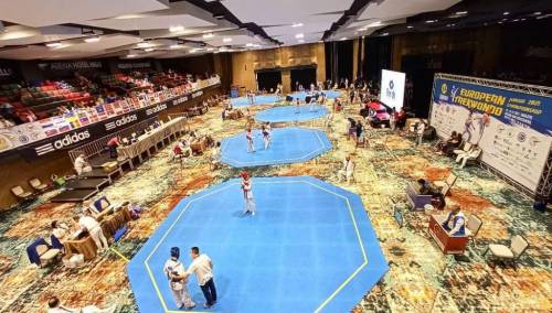 BiH u najužem izboru za dobijanje organizacije Svjetskog kadetskog taekwondo prvenstva