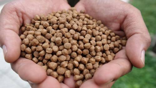 BiH ukida zabranu izvoza peleta