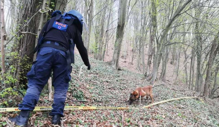 BiH: Zemlja sa izraženim problemom minske opasnosti