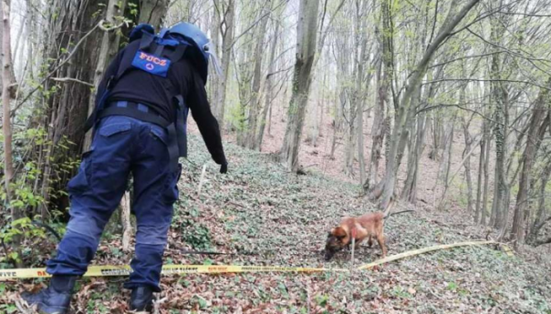 BiH: Zemlja sa izraženim problemom minske opasnosti