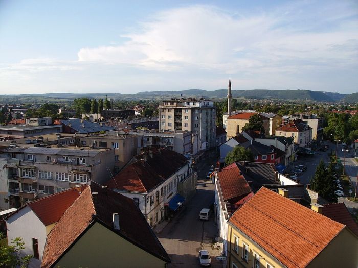 Bihać: Građani fotografisali otrovne zmije u parku