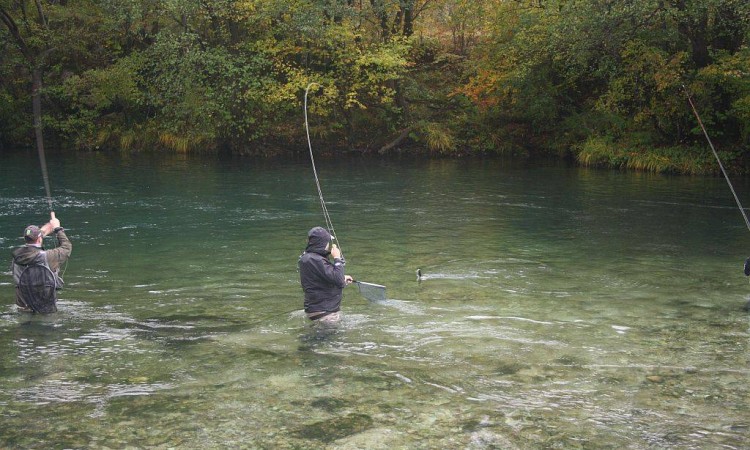 Bihać i NP Una ove godine domaćini svjetskog juniorskog prvenstva u fly-fishingu