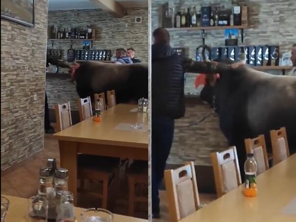 Bik Jablan nakon koride ‘svratio’ u kafanu