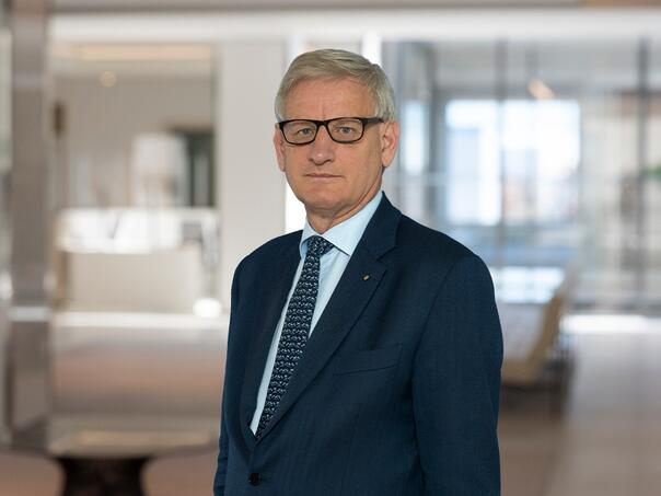 Bildt: OHR nije koristan, EU mora da se sabere