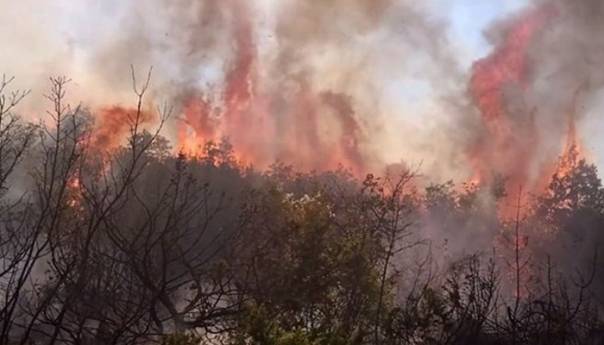Bileća: Požar u blizini tunela Vodostan