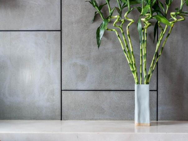 Biljka koja uništava bašte, a svi je sade zbog lijepog izgleda