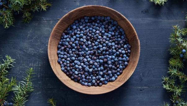 Biljka ljekovita od stabla do ploda