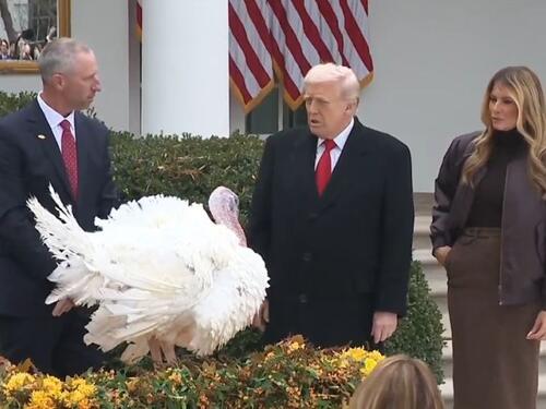 Bizarna svečanost: Trump pomilovao ćurke, jedna uspjela pobjeći