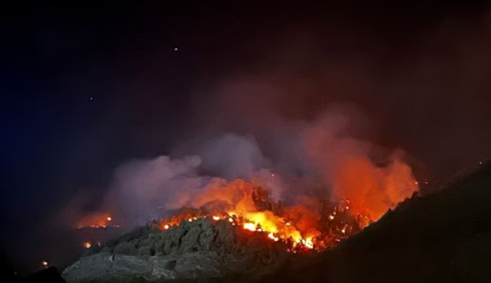 Bjesni požar, evakuisano više od 200 osoba