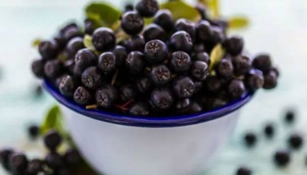 Bobica zdravlja koju trebate uvrstiti u jelovnik