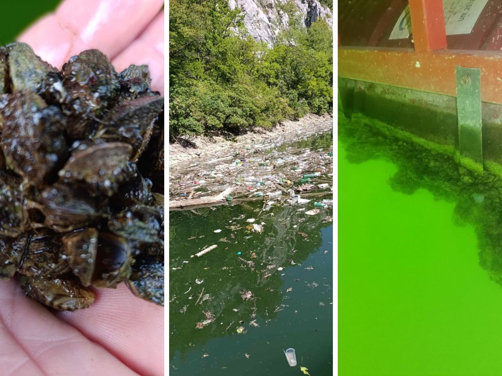 Bočac zatrpan otpadom, pojavila se i opasna invazivna školjka