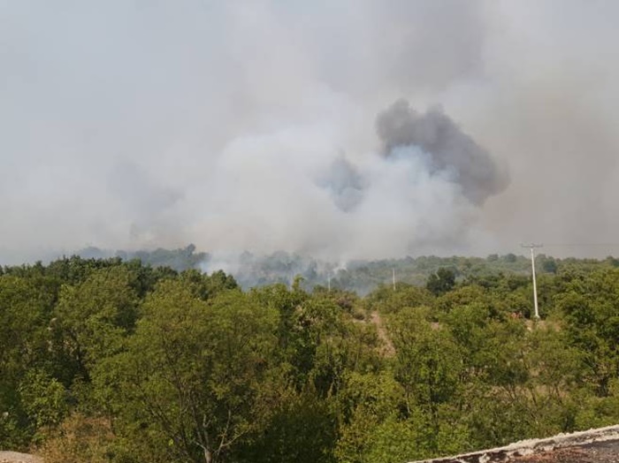 Bolje stanje na požarištu kod Ljubinja: Put prohodan, kuće nisu ugrožene