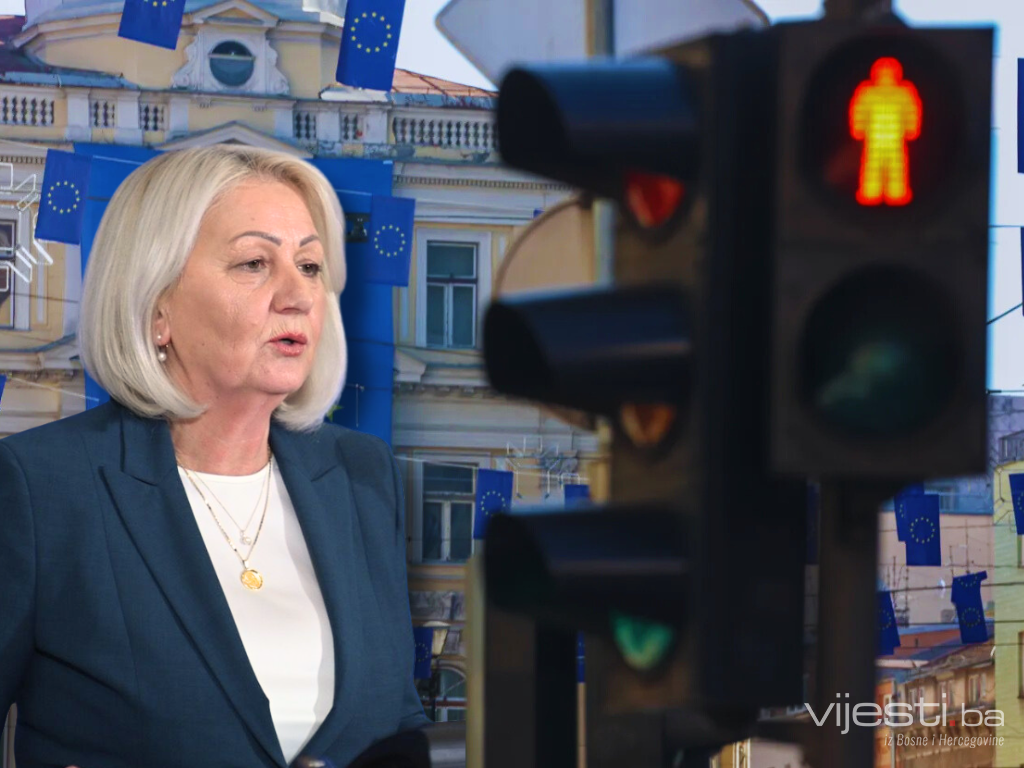 Bolna dijagnoza iz Brisela: Nikakav napredak!