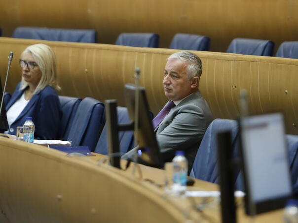 Borenović: Dok Vulić brani Krišto, srpski narod ima dva ministra u VMBiH