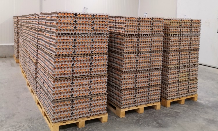 Bosanskohercegovački proizvođači jaja postaju neovisniji