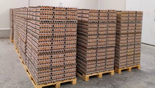 Bosanskohercegovački proizvođači jaja postaju neovisniji