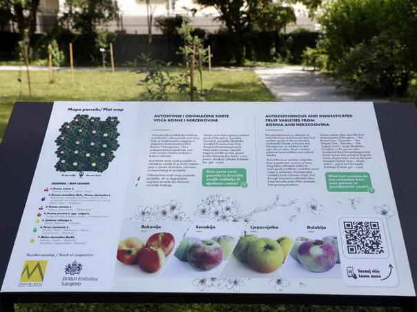 Botanički vrt Zemaljskog muzeja: Živi muzej koji čuva blago bh. prirode