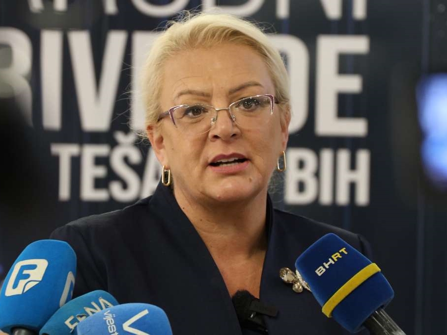 Bradara povukla zahtjev za ocjenu ustavnosti Zakona o Južnoj interkonekciji