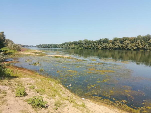Brčko: Izuzetno nizak vodostaj Save otežava plovidbu