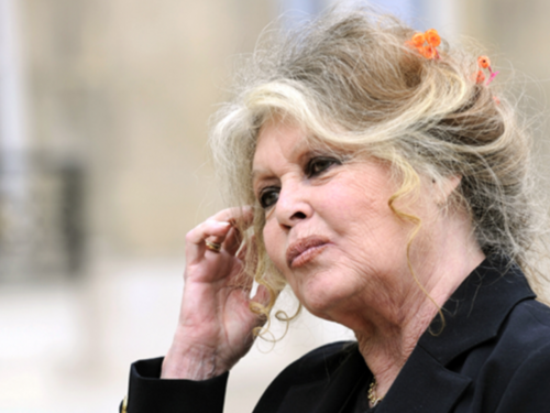 Brigitte Bardot se oglasila nakon lažnih vijesti da je preminula: Ko je idiot...