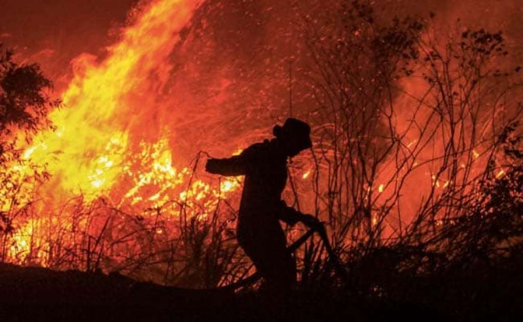 Video: Britanska Kolumbija proglasila vanredno stanje zbog šumskih požara
