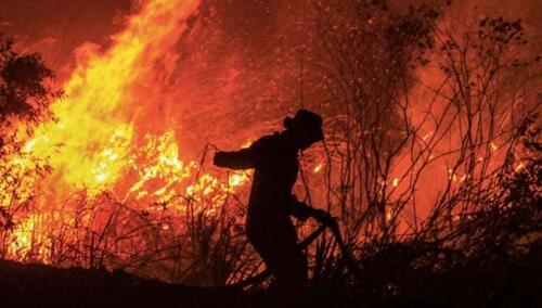 Video: Britanska Kolumbija proglasila vanredno stanje zbog šumskih požara