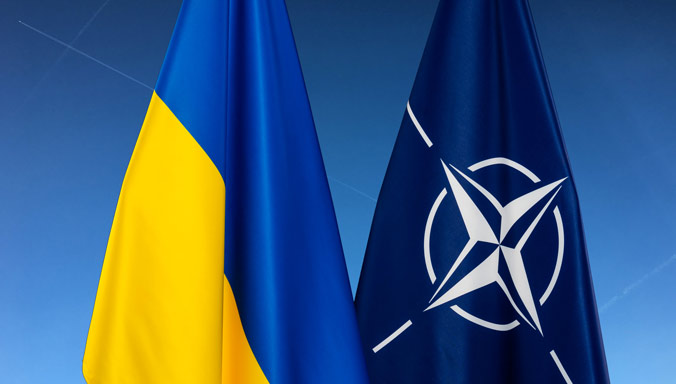 Britanski ministar: Ukrajina na putu ka članstvu u NATO