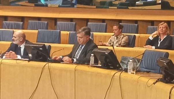 Brkić izvijestio PS NATO o političkoj situaciji u BiH, evropskim i evroatlantskim integracijama