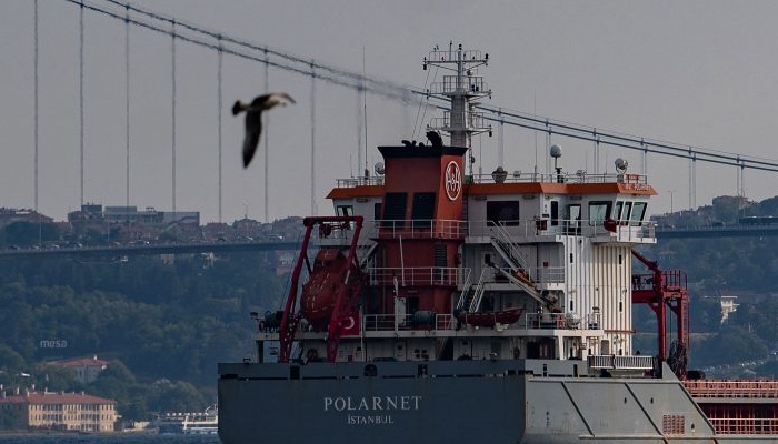 Brod sa žitom iz Ukrajine dotegljen na sidrište u Istanbulu