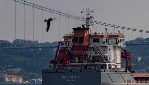 Brod sa žitom iz Ukrajine dotegljen na sidrište u Istanbulu