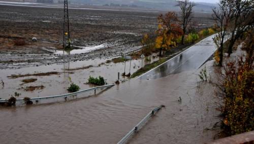 Broj poginulih u poplavama u Belgiji porastao na 37